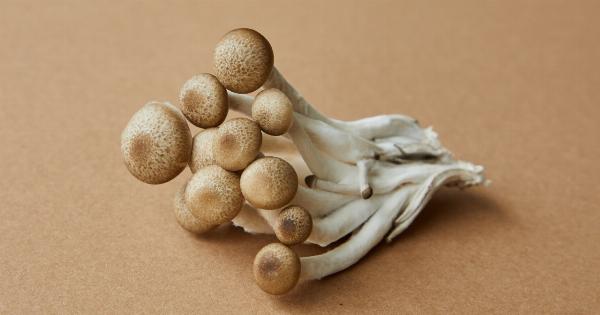 Three effortless ways to prepare mushrooms
