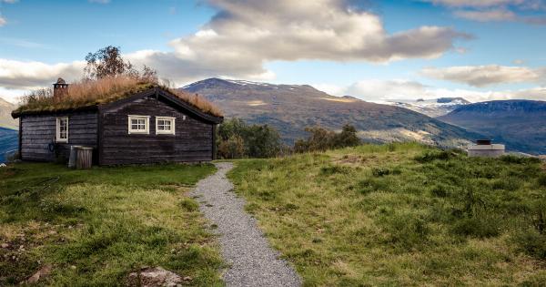 Dogs in Norway fall prey to ‘cryptic disease’