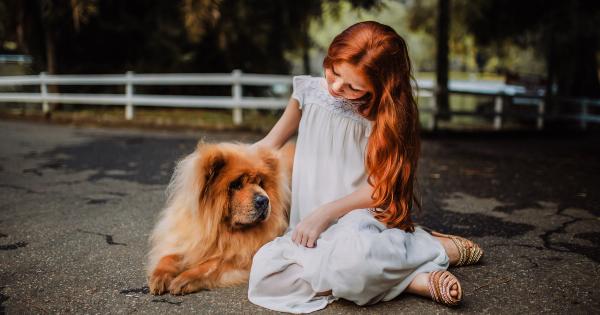 Dog and Kids: The Ultimate Friendship Guide