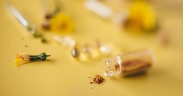 Exploring the Depths of Dementia: Possible Paths to a Cure