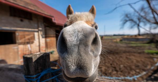 What to do if your nose is stuffy