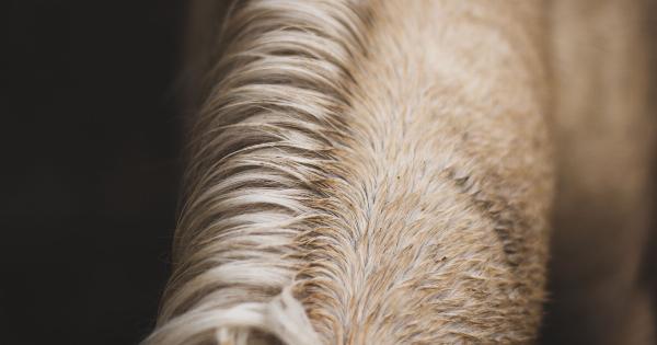 Understanding Hair Strands: Causes and Solutions