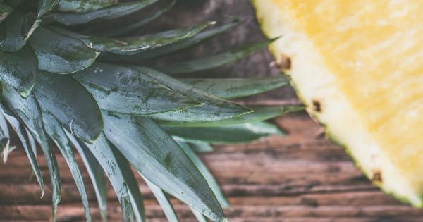 The Sweet Bounty of Summer: A Guide to Healthy Eating