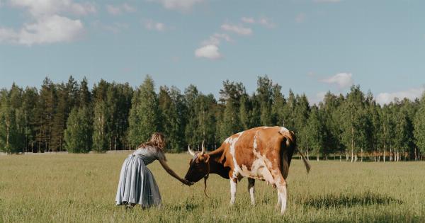 Could Mad Cow Disease Be Back?