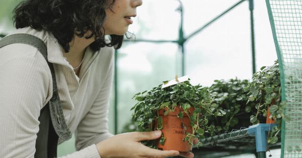 Low-Carb Vegetables to Keep Diabetes in Check