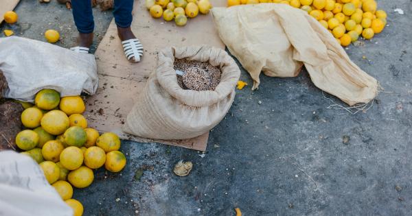 Diabetic-friendly apple pie with whole grain flour and orange