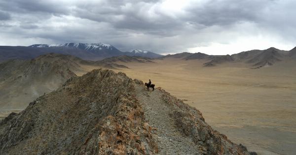 The amazing benefits of donkey milk