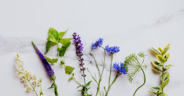 10 Herbs with Medicinal Properties