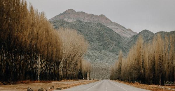 Following a Straight Path to the Coroner’s Office