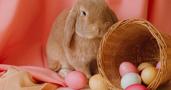 Keep your stomach happy during Easter with these 7 tips