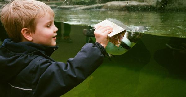 Why Seal Molars in Children Early?