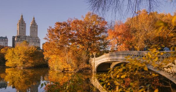 How living in an urban environment can age us