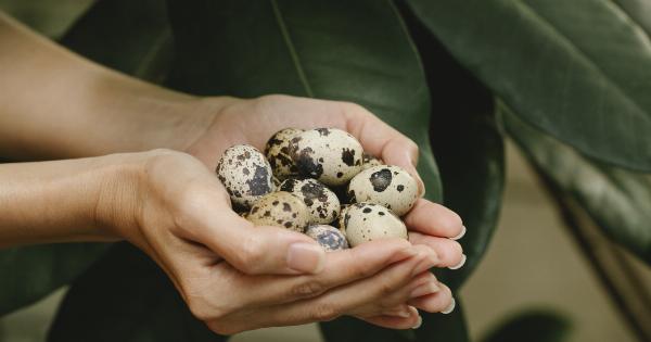 Studies show plant-based diet can lead to weaker bones in women