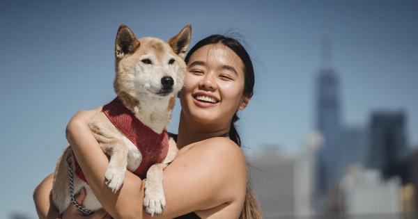 5 ways to ensure your dog has a positive experience at a small animal hotel