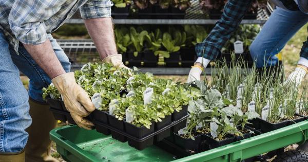 What Produce Contains the Highest Levels of Pesticides?