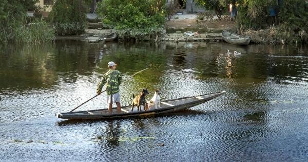Malinas: The brave canine companion of the military