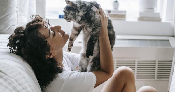 Quick-witted feline assists owner in getting inside