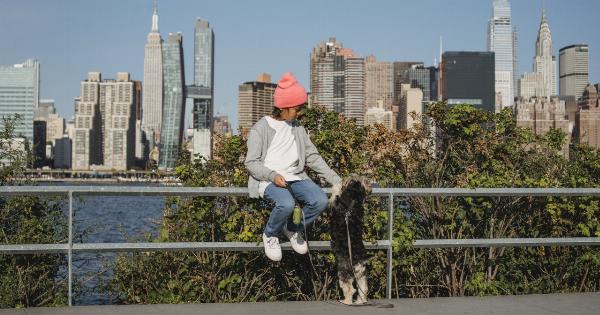 Child and Dog: Tips for Building a Strong Friendship