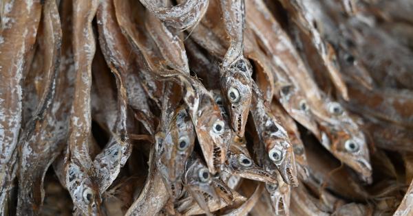 Fatty fish like salmon and sardines boost brain function, says research