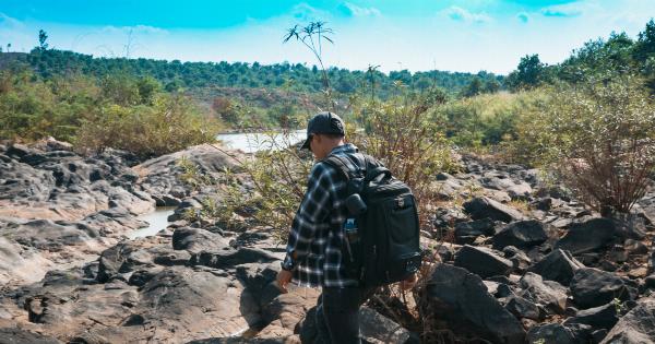 Exploring the Unknown Terrain of Slims