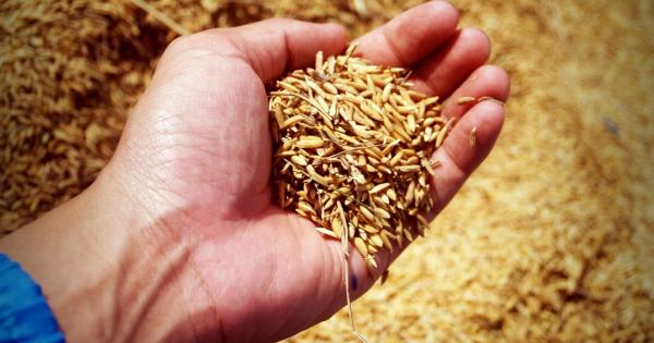 The Power of Barley: A Healthful Grain