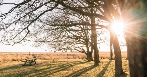 Why bright sunlight can be damaging to our mood