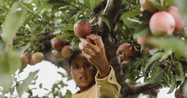 What Really Causes Low Vitamin B12 Levels?