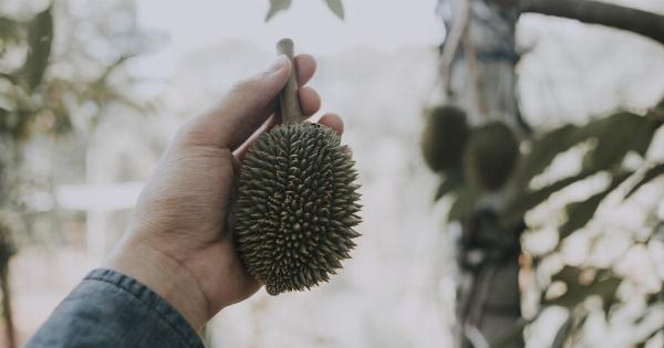 7 foods which can modify your body’s smell