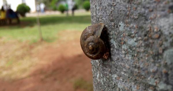 Little things that may be slowly killing you