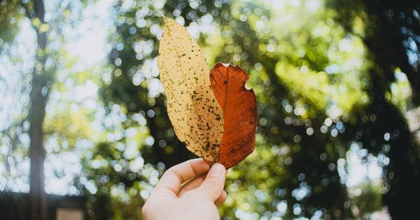 Spot the red flags: 9 signs of liver damage