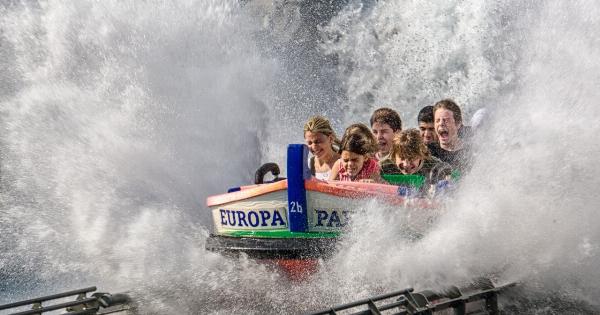 The Rollercoaster of Bipolar Disorder: An Insight