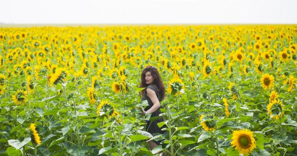 The Mystical Powers of Linseed Oil for Muscle Growth