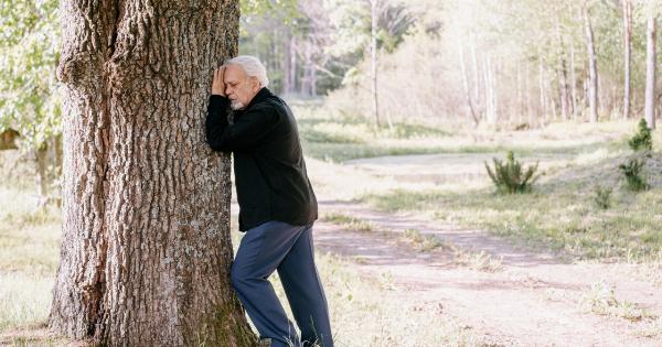 Long-term pain in the elderly: challenges and consequences