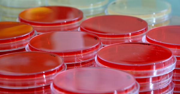 Innovative blood test for early pancreatic cancer screening
