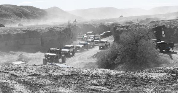 Probiotics vs. Prebiotics: What’s the Difference?