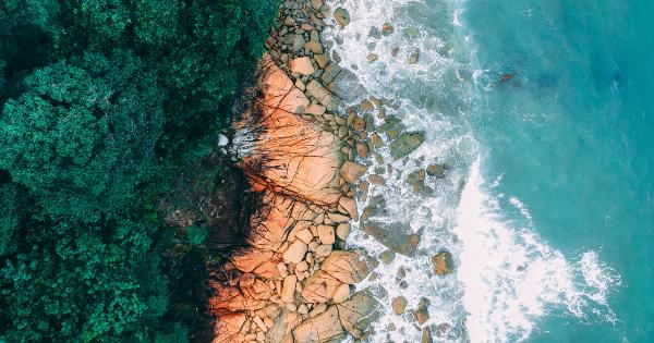 Protecting your eyes during sea swimming with contacts