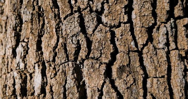 Natural remedies for vaginal dryness