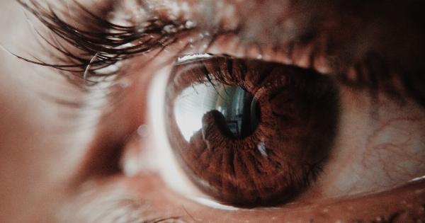 Unbelievable Video: How does a person see through their eyes