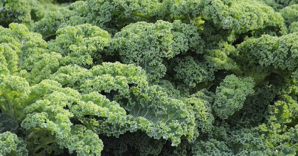 Top 30 Nutrient-Packed Green Leafy Vegetables