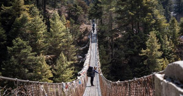 Slow Progress: Exploring the Link between Walking and Brain Function