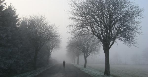 Walking for Fitness: How Much Do You Need to Burn off an Ice Cream Stick?