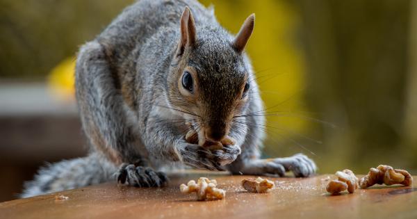 Avoid These Nuts for a Slimmer You