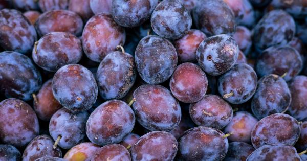 The Reason Plums Are Classified as ‘Surplus’