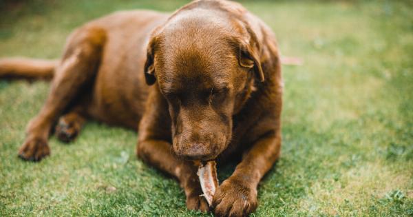 Eating for Bone Health: The Dos and Don’ts