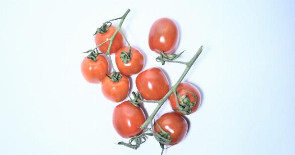 Year-round tomato bliss