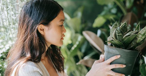 How to make healthier choices every day