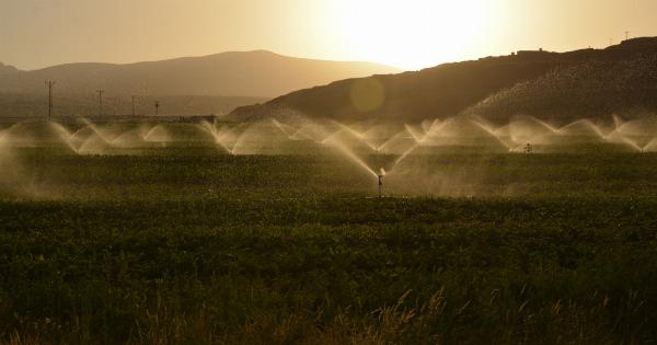 Undermining Your Health: Unconscious Irrigation Habits