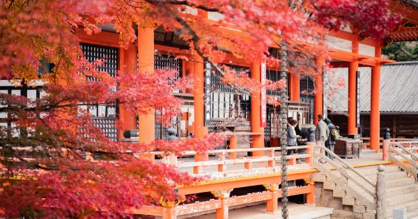 Transform Yourself This Fall: 5 Easy Detox Steps