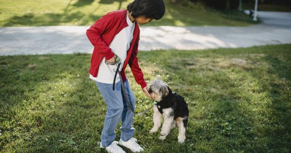 What is the right number of times to walk your dog in a day?