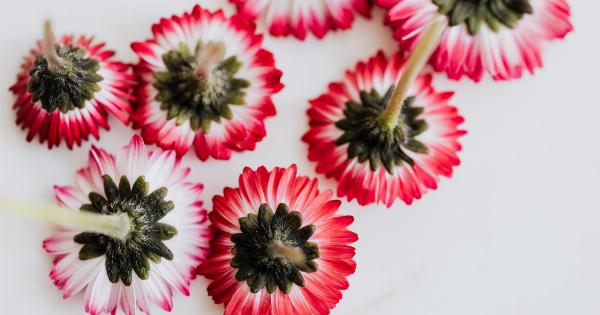 Trim Down for Summer with These Simple Tips